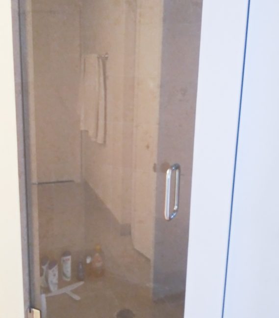 Single Door Frameless Shower Door