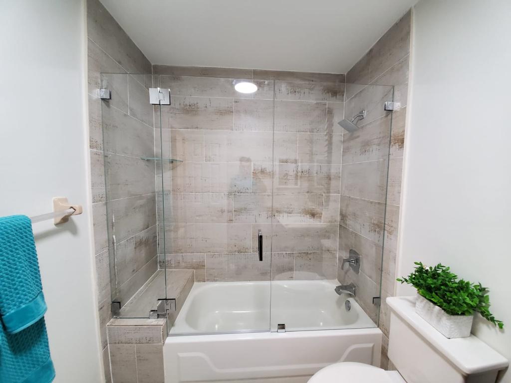 Inline Shower Door & Panel Frameless Shower Door