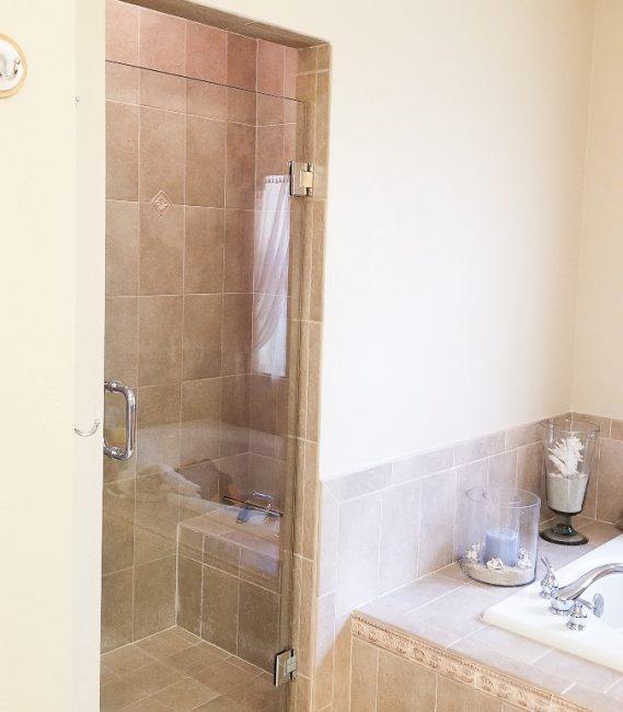 Single Door Frameless Shower Door