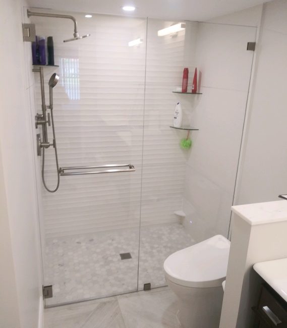 Inline Shower Door & Panel Frameless Shower Door