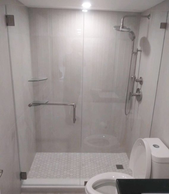 Inline Shower Door & Panel Frameless Shower Door