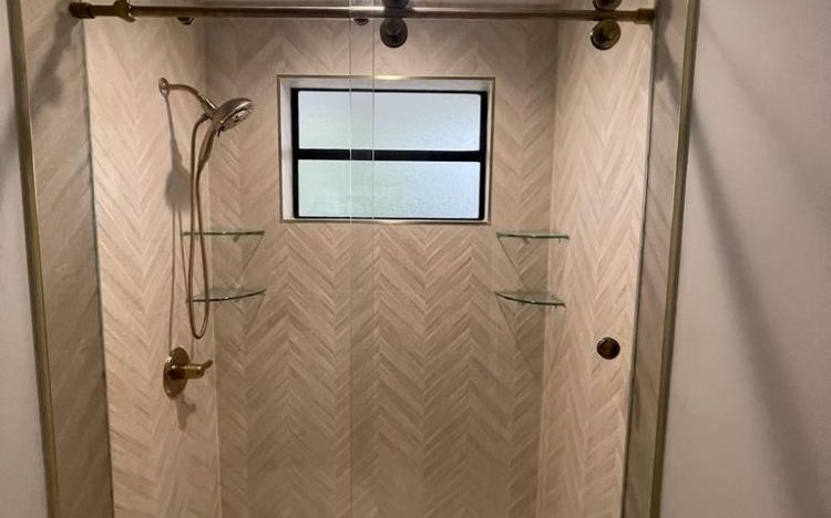Olexis Single Slider Frameless Shower Door